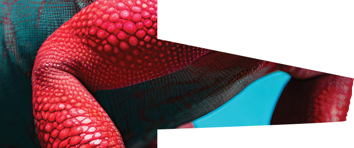 Polygon