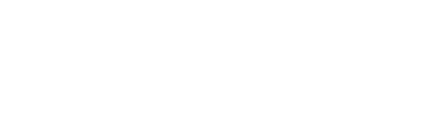 Bart, de eigenaar van deze metallic oranje gespoten Mk5, koos voor een schroefset van KW, om precies te zijn de V3 ki...