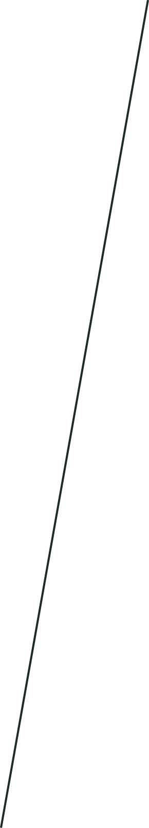 GraphicLine