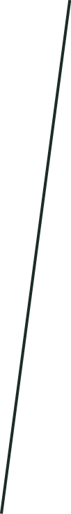 GraphicLine