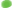 Oval