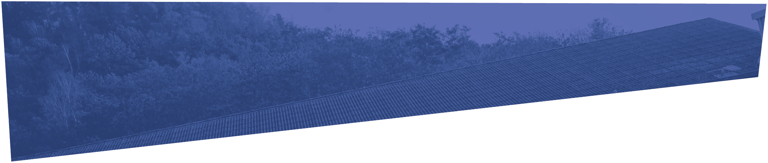 Polygon