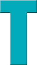t2