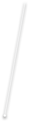 L4