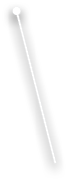 L7