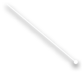 L1