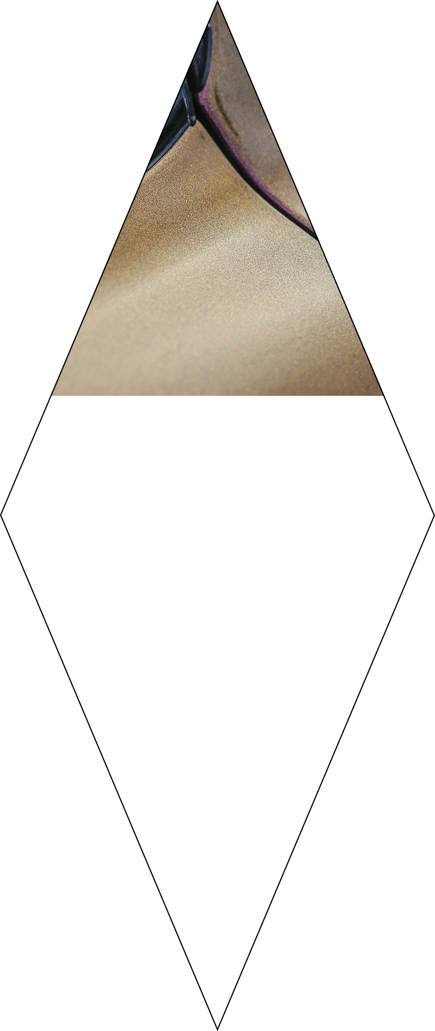 Polygon