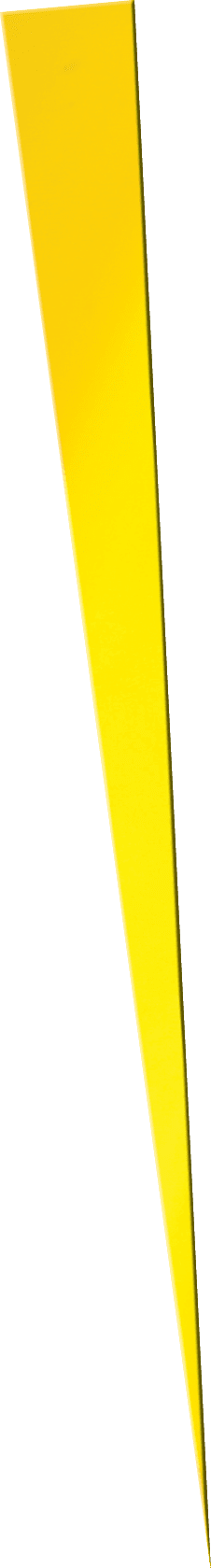 Polygon