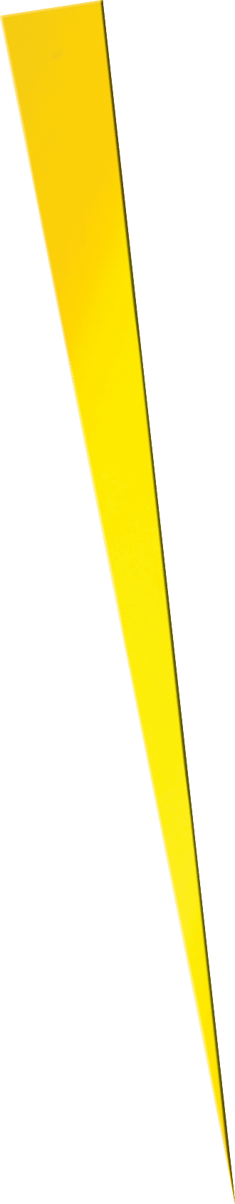 Polygon