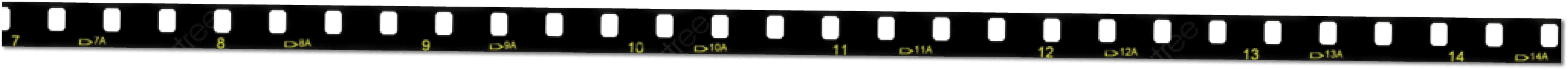Rectangle