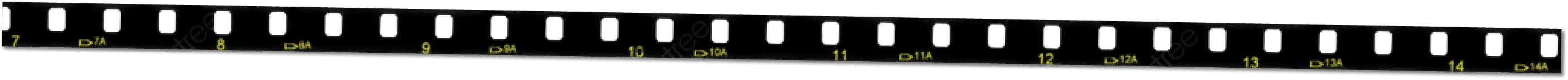 Rectangle